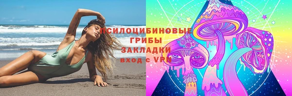 молекула духа Аркадак