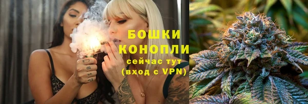 молекула духа Аркадак