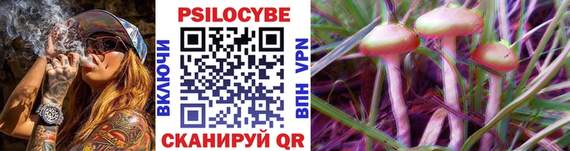 купить наркотики сайты  Артёмовский  Галлюциногенные грибы Psilocybe 
